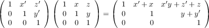 (          ) (          )   (                      )
   1 x ′ z′     1  x  z        1  x′ + x x′y +z′ + z
(  0  1  y′) (  0  1  y ) = (  0      1      y + y′)
   0  0   1     0  0  1        0      0          1
