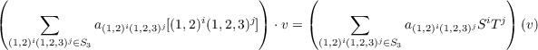 (                                   )      (                          )
(     ∑       a   i    j[(1,2)i(1,2,3)j]) ⋅v = (     ∑      a    i    jSiT j) (v)
  (1,2)i(1,2,3)j∈S3  (1,2)(1,2,3)                      (1,2)i(1,2,3)j∈S3 (1,2)(1,2,3)
